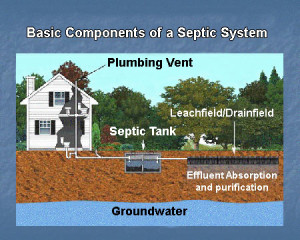 SepticSystemDiagram | Mo Septic System Inspections and Onsite Soil Testing